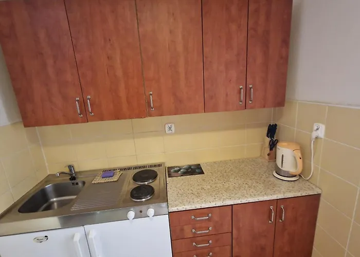 Apartament Mieszkania i apartamenty przy plaży, przyjazne czwronogom, Żeromskiego 2 HoliApart *